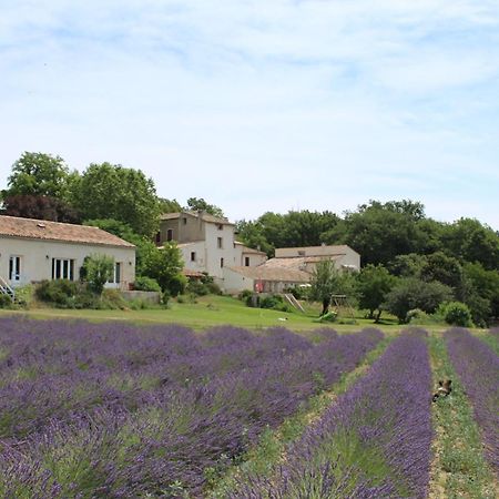 Les Anes De Forcalquier Hotel Exterior photo